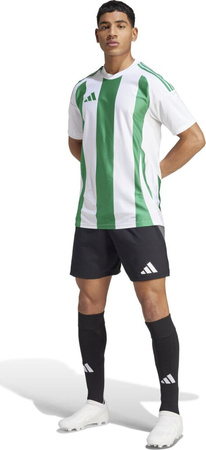 Koszulka męska adidas Striped 24 Jersey biało-zielona IW2148