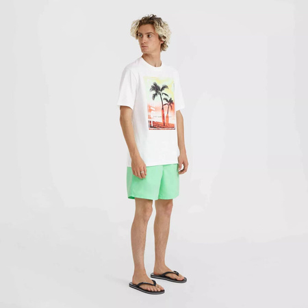 Męska koszulka z krótkim rękawem O'neill JACK O'NEILL NEON T-SHIRT snow white rozmiar M