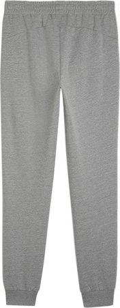Spodnie męskie Puma Team Goal Casuals szare 658598 33