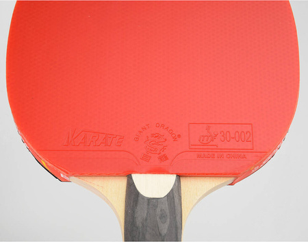 Rakietka do tenisa stołowego ping-ponga Giant Dragon 5***** N8052 pokrowiec