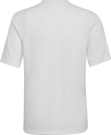 Koszulka dla dzieci adidas Entrada 22 Graphic Jersey biało-szara HF0120