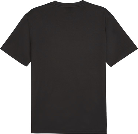 Koszulka męska Puma TeamGoal Jersey czarna 658636 03