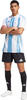 Koszulka męska adidas Striped 24 Jersey biało-błękitna IW4555