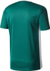Koszulka dla dzieci adidas Entrada 18 Jersey JUNIOR zielona CE9563