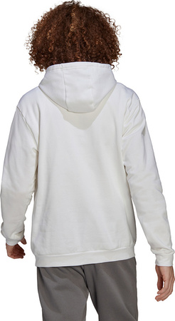 Bluza męska adidas Entrada 22 Hoody biała HG6302