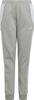 Spodnie dla dzieci adidas Tiro 24 Sweat szare IS1009
