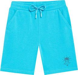 Spodenki dla chłopca 4F M047 niebieskie 4FJSS23TSHOM047 35S