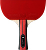 Rakietka do tenisa stołowego ping ponga Butterfly Team Champion
