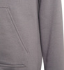 Bluza dla dzieci adidas Entrada 22 Hoody szara H57515