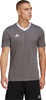 Koszulka męska adidas Entrada 22 Jersey szara 
