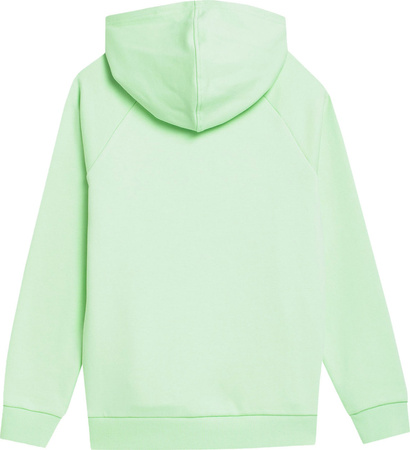 Bluza dla chłopca 4F zielona 4FJSS23TSWSM220 42S