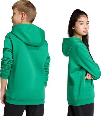 Bluza dla dzieci adidas Entrada 26 Hoody zielona JZ6563
