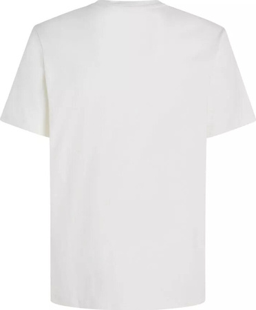 Męska koszulka z krótkim rękawem O'neill JACK O'NEILL WAVE T-SHIRT snow white rozmiar M