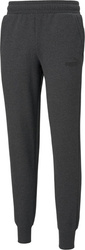 Spodnie męskie Puma ESS Logo Pants FL ciemnoszare 586714 07