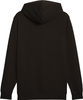 Bluza męska Puma ESS No.1 Logo Hoodie TR czarna 682572 01