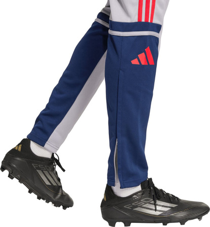 Spodnie męskie adidas Squadra 25 Training szare JP3372