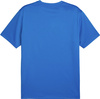 Koszulka męska Puma TeamGoal Jersey niebieska 658636 02