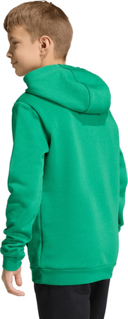 Bluza dla dzieci adidas Entrada 26 Hoody zielona JZ6563
