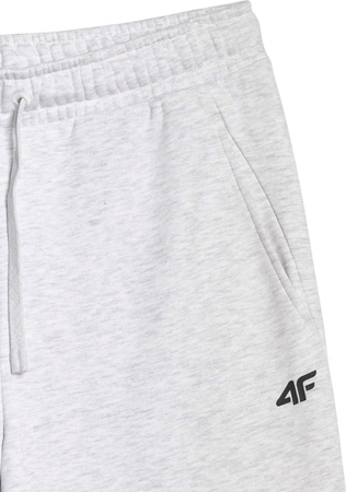 Spodnie męskie 4F CAS M1140 szare 4FWMM00TTROM1140 27M