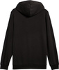 Bluza męska Puma Ess 2 Color Small No.1 Logo Hoodie TR czarna 684719 51