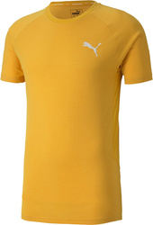 Koszulka męska Puma Evostripe Lite Tee żółta 581534 25