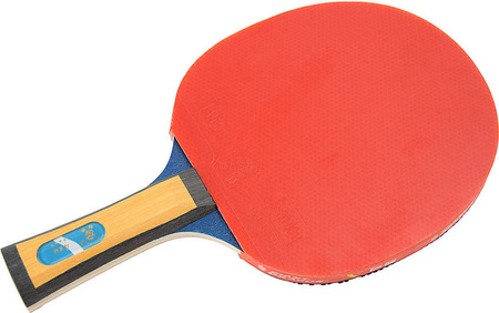 Rakietka do tenisa stołowego ping-ponga Giant Dragon 4★ N8042 2 piłeczki, pokrowiec