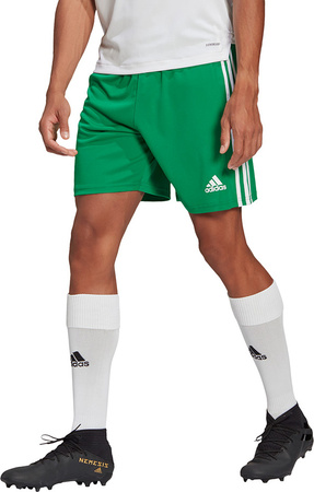 Spodenki treningowe krótkie męskie adidas Squadra 21 Jersey zielone GN5769