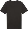 Koszulka męska Puma Team Rise Logo Jersey Cotton czarna 658705 03