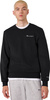 Bluza męska Champion Crewneck Sweatshirt czarna 221792 KK001