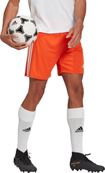 Spodenki treningowe krótkie męskie adidas Squadra 21 Short pomarańczowe GN8084
