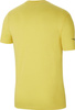Koszulka dla dzieci Nike Park 20 żólta CZ0909 719