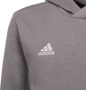 Bluza dla dzieci adidas Entrada 22 Hoody szara H57515