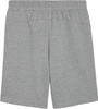 Spodenki męskie Puma teamGOAL Casuals szare 658608 33