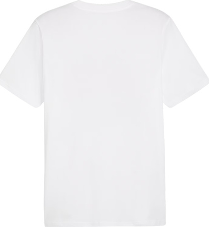 Koszulka męska Puma Graphics Summer Sports Tee II biała 627909 02