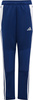 Spodnie dla dzieci adidas Tiro 24 Winterized niebieskie IY0117