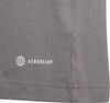 Koszulka dla dzieci adidas Entrada 22 Tee szara HC0444