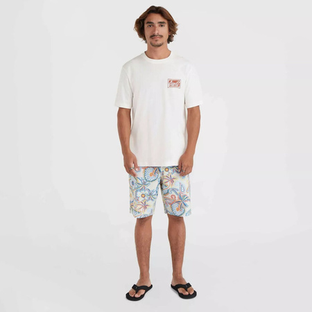 Męska koszulka z krótkim rękawem O'neill O'NEILL BEACH GRAPHIC T-SHIRT snow white rozmiar M