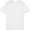 Koszulka męska Puma Team Goal Casuals Tee biała 658615 04