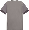 Koszulka męska Puma teamGoal Matchday Jersey szara 705747 13