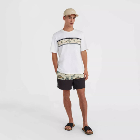 Męskie szorty O'neill MIX