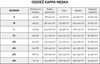 Spodenki męskie Kappa ITALO niebieskie 309013 19-4151