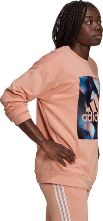 Bluza damska adidas Youforyou Sweatshirt morelowa HA2431