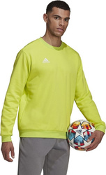 Bluza męska adidas Entrada 22 Sweat Top limonkowa HC5049