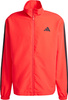 Dres męski adidas Sportswear Basic 3-Stripes Woven czerwony JI8851