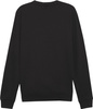 Bluza męska Puma Team Goal Casuals Crew Neck Sweat czarna 658592 03