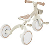 Rowerek Trójkołowy / Biegowy Learning Trike 3w1 Plus Ecologic (738-466)
