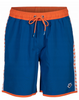 Męskie kąpielówki spodenki kąpielowe Arena Team Stripe Bermuda rozmiar XS