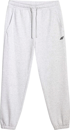 Spodnie męskie 4F CAS M1140 szare 4FWMM00TTROM1140 27M