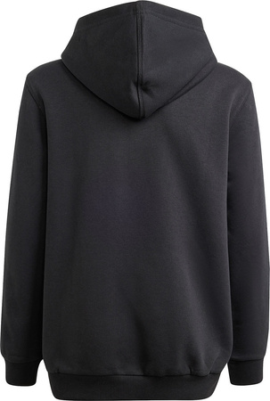 Bluza dla dzieci adidas ALLSZN GFX HD czarna IS4661
