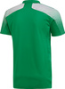 Koszulka męska adidas Regista 20 Jersey zielona FI4559